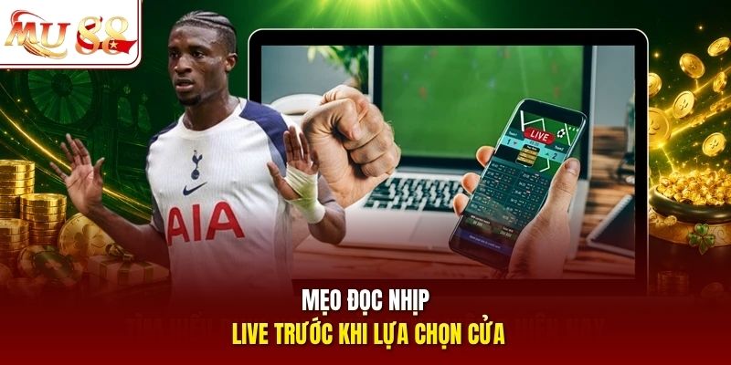 Mẹo đọc nhịp live trước khi lựa chọn cửa