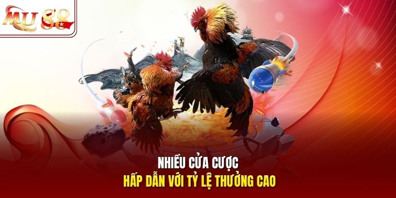 Nhiều cửa cược hấp dẫn với tỷ lệ thưởng cao
