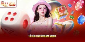 Tài Xỉu LiveStream